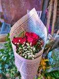 roses_1.jpg