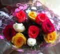 roses_3.jpg