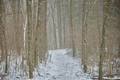 winter_2.jpg
